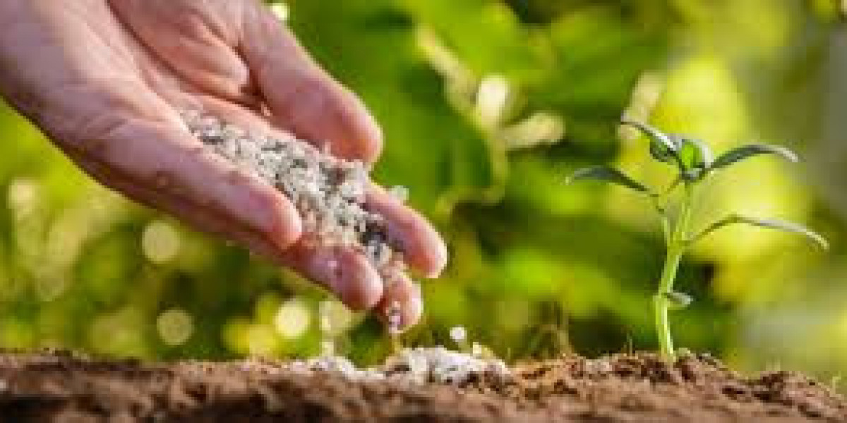 Global Fertilizer Market Size And Forecast Report 2024-2030